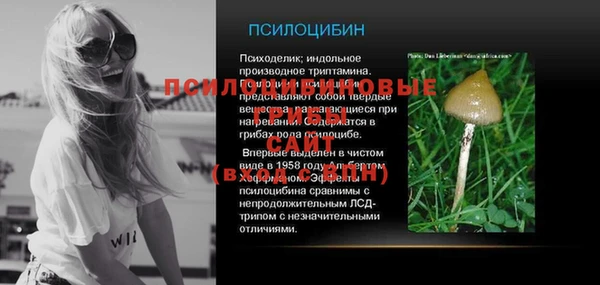 хмурый Абинск