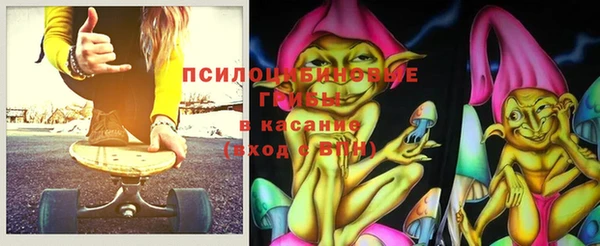хмурый Абинск