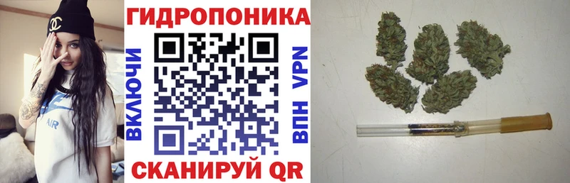 Марихуана Bruce Banner  дарнет шоп  Кирсанов 